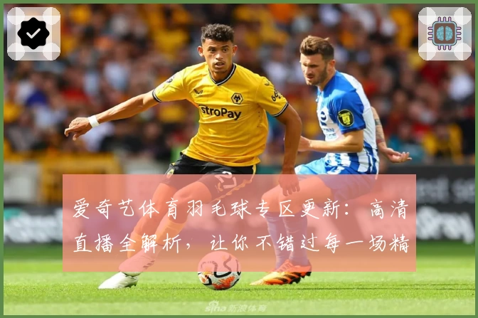 爱奇艺体育羽毛球专区更新：高清直播全解析，让你不错过每一场精彩比赛